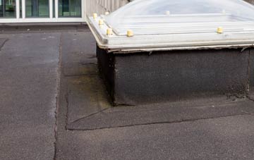 disadvantages of Muggleswick flat roofs