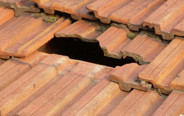 roof repair Muggleswick, County Durham